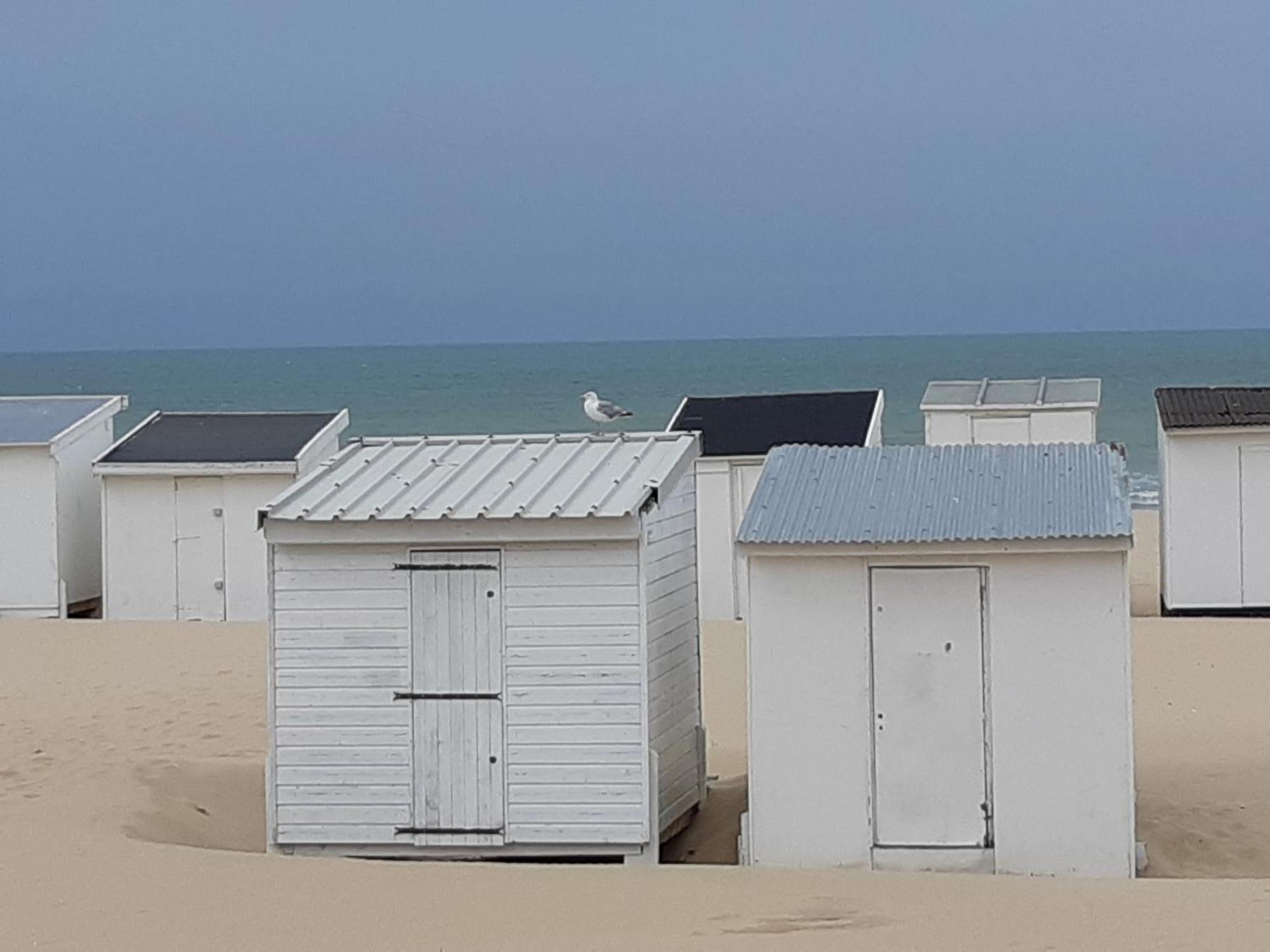 Calais Plage - Magnifique Studio - Front De Mer Ngoại thất bức ảnh